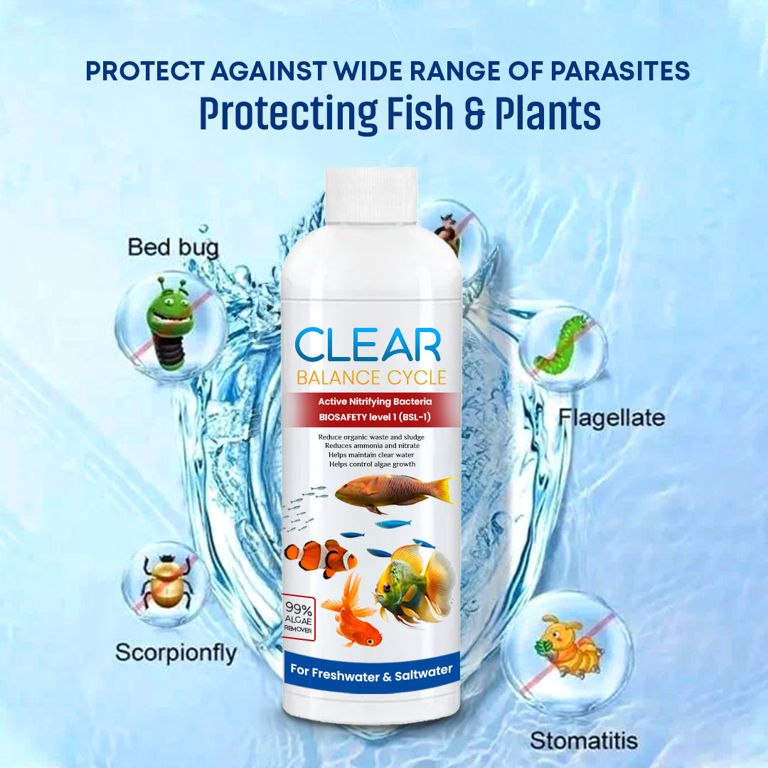 Automatic Fish Tank Cleaner – (Buy 1 Get 1 Free🔥)
